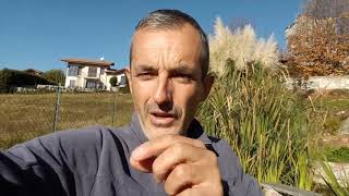 Come Scacciare Le Talpe? Con Il Dissuasore Ad Ultrasuoni Non Funziona