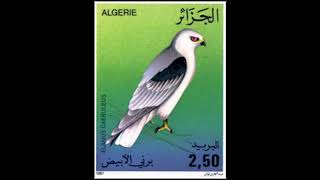 Timbre sur le thème des oiseaux d'Algérie