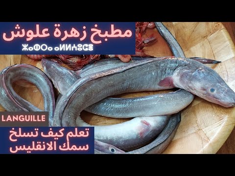 فيديو: سمك الأنقليس: الطبخ وخصائص مفيدة