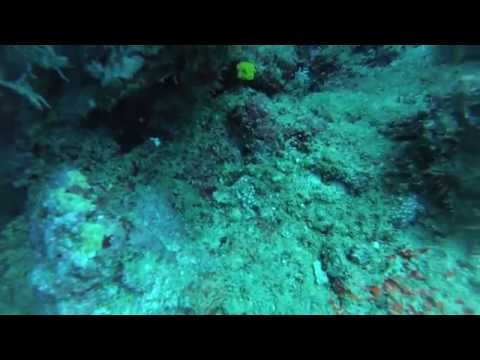 Vidéo de notre croisière plongée sur les îles Similans, Grande-Synthe - France