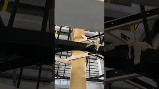 Bamboo Fiber Biodegradable Blown Film Machine #filmblowingmachine#biodegradablepackaging