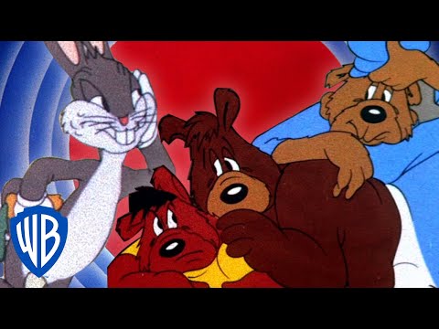 Looney Tunes | Bunny and the Three Bears | WB Kids