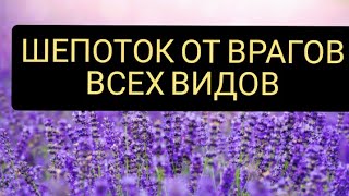 Шепоток от врагов. Заговор от врагов | Самир Али |