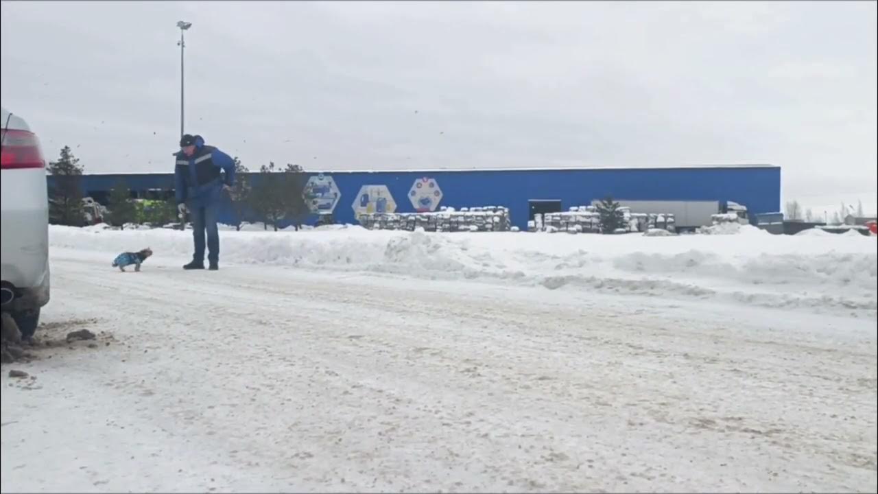 природа северное сияние. гейзер флай, сша. подводный водопад ле морн брабан. глория у призрака броккена. заметный удивительно.
