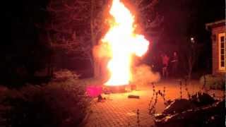 Mushroom Cloud Slow-Motion Explosion #2