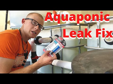 Aquaponics leaking pipe fix - Fixing a leak using epoxy (JB Water Weld)