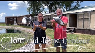 Racing Pigeons Loft Visit CFL Credeur Family Loft Louisiana Part II