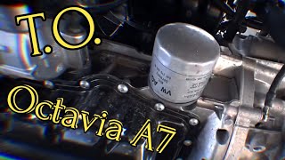 видео: Skoda Octavia A7 1.6 CWV Замена масла. Сброс межсервисного интервала. Отличие оригинального фильтра. картинка: Skoda Octavia A7 1.6 CWV Замена масла. Сброс межсервисного интервала. Отличие оригинального фильтра.