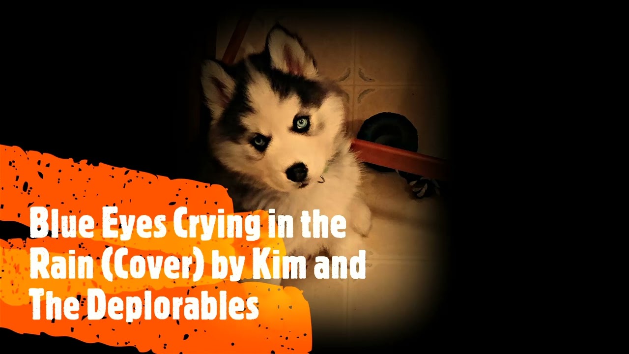 Blue Eyes Crying in the Rain - Willie Nelson (Cover)