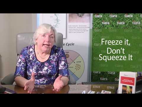 How To Remove A Tick – Freeze It, Don't Squeeze It | Clinical Associate Professor, Sheryl van Nunen