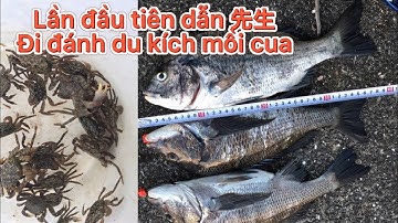 Lần đầu tiên dẫn 先生 đi câu Cá Tráp bằng mồi cua - Trần Gia Youtube