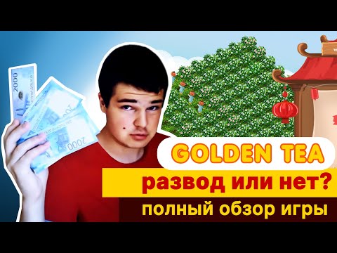 Video: Golden Satay