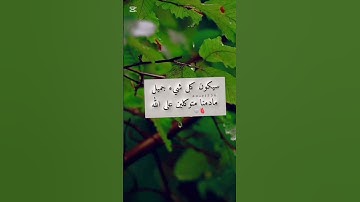 تلاوة هادئة من سورة الرعد بصوت القارئ نور الدين سليم نوري 🪷
