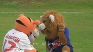 Aksi Lucu Maskot AREMA VS PERSIJA Bikin Tertawa