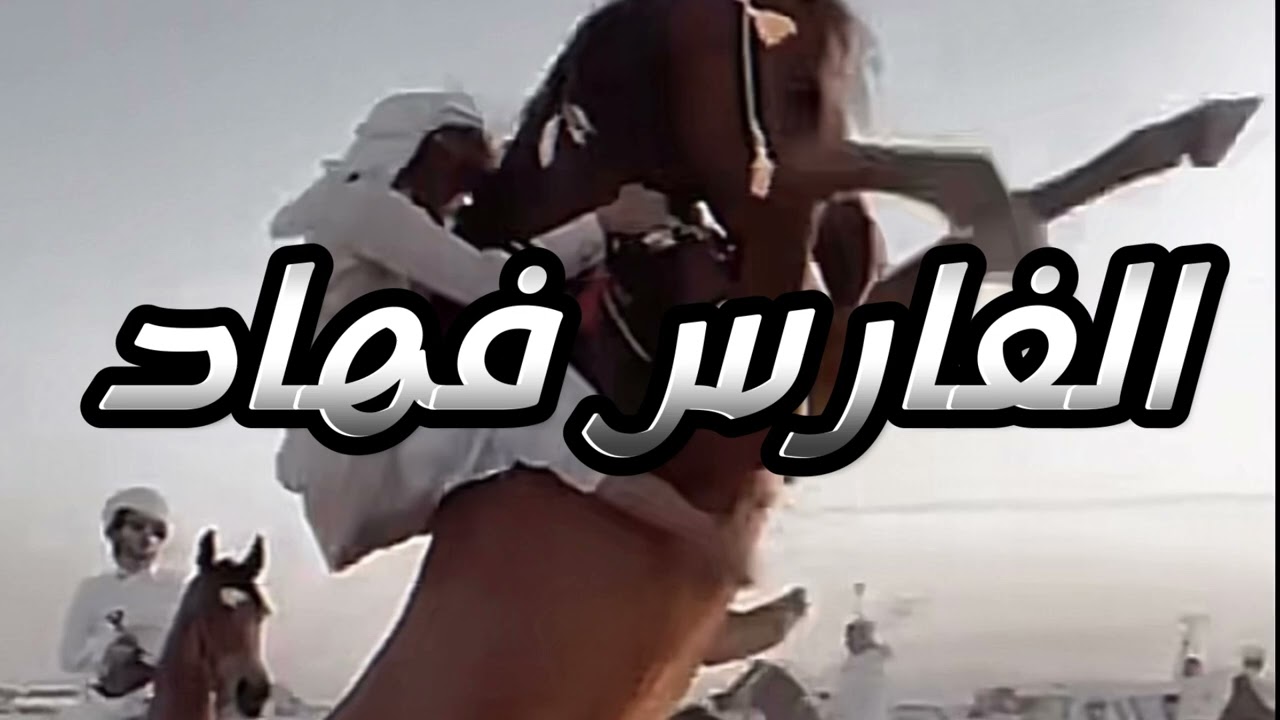 الفارس فهاد #قصه_من_الباديه_السعوديه #صراع_القبائل #الابل #بدو #قصه_حقيقيه #قصص_واقعية 