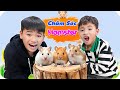 1 Ngày Chăm Sóc Chuột Hamster | Thú Cưng Mới Của Minh Khoa &amp; Minh Khôi ♥ Minh Khoa TV