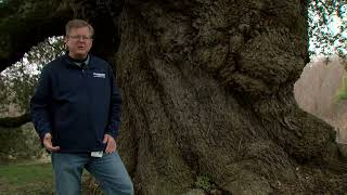 How I Care - Episode 17: Kevin Kaul, Urban Forester