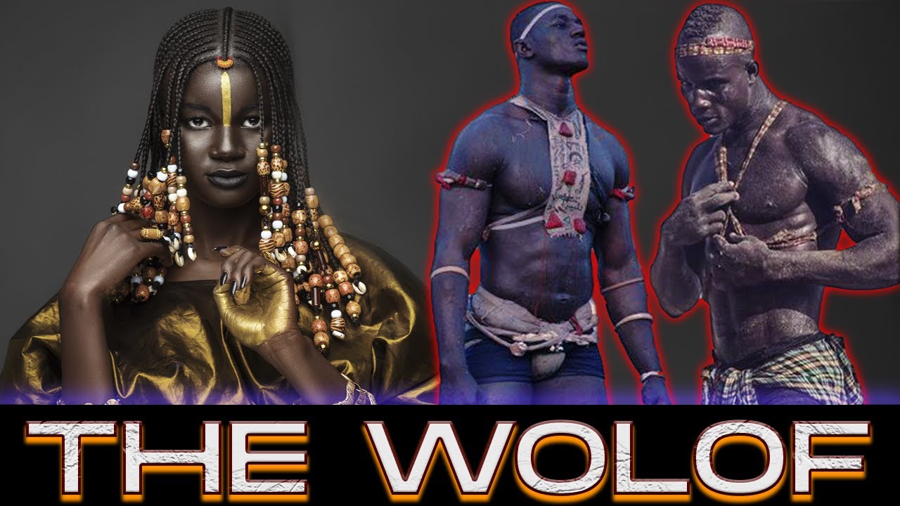 THE WOLOF : TALLEST TRIBE IN WEST AFRICA. (Nilotic Origin?)