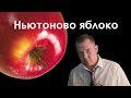 Рождение новой европейской науки II