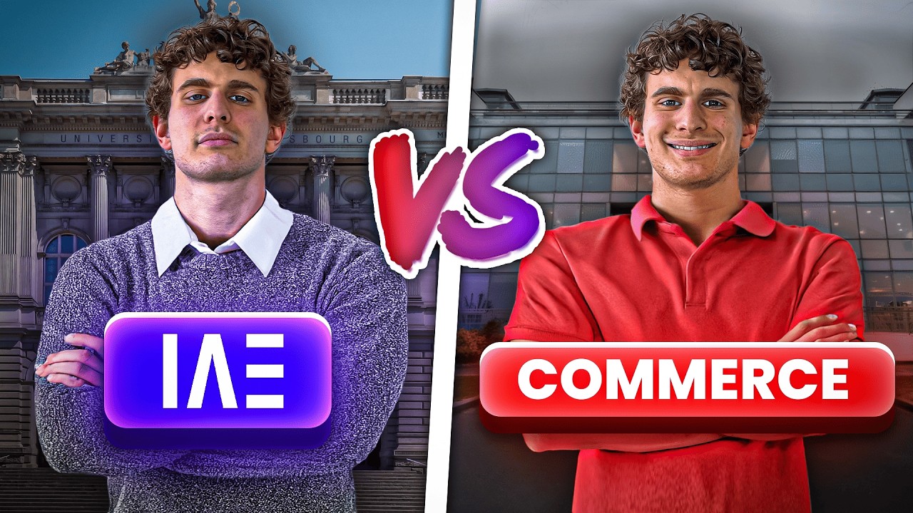 IAE vs École de commerce : c'est quoi le mieux ?