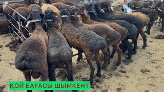 Қой бағасы 25.06.25ж