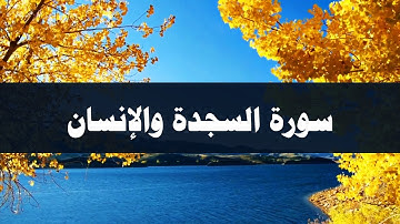 تلاوة من صلاة فجر الجمعة | سورة السجدة والإنسان