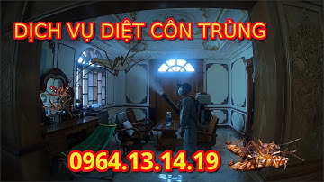 DỊCH VỤ DIỆT CÔN TRÙNG | DỊCH VỤ DIỆT CÔN TRÙNG GIÁ RẺ TẠI TP.HCM | DỊCH VỤ DIỆT CÔN TRÙNG TẠI NHÀ