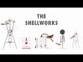 Turning waste lobster shells into bioplastic - The Shellworks