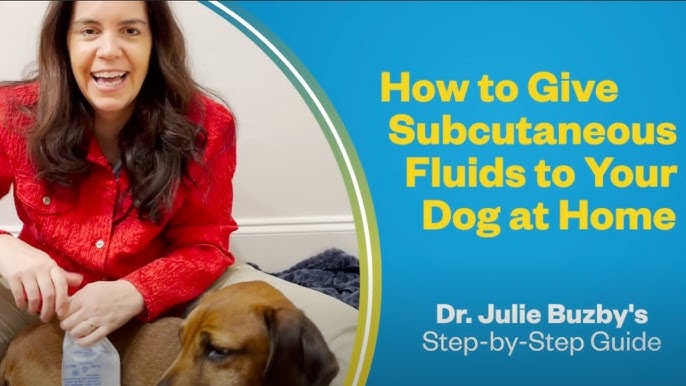 5 Ways To Safely Administer Subcutaneous Fluids 2024
