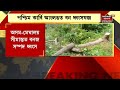 West Karbi Anglong | পশ্চিম কাৰ্বি আংলঙত বন ধ্বংসযজ্ঞ | Assam News Updates Mp3 Song