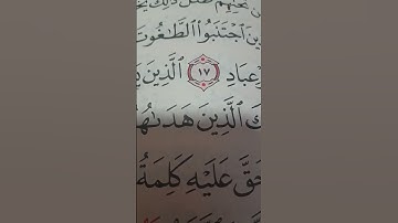 بسم الله الرحمن الرحيم  سورةالزمر #life