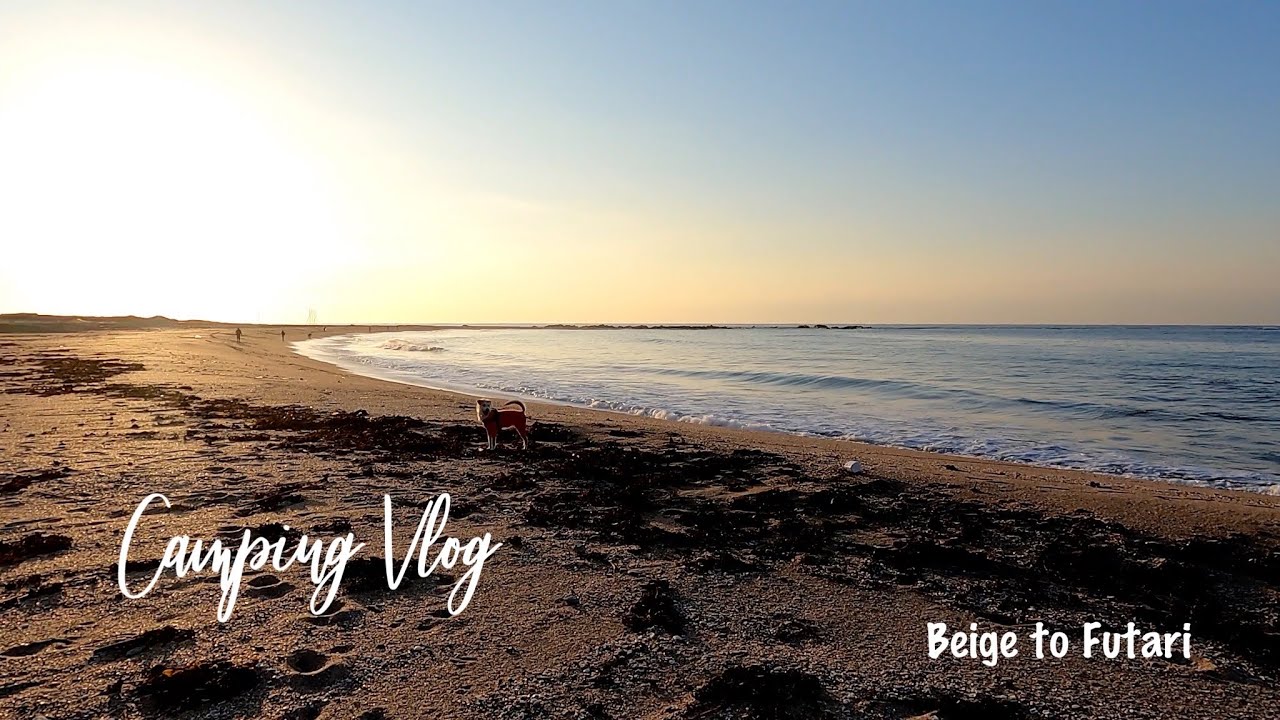 【犬とキャンプ】南房総で朝日とアサリ出汁うどんに癒される