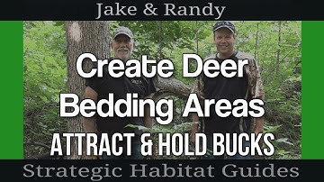 How to Create Deer Bedding Areas on Your Property