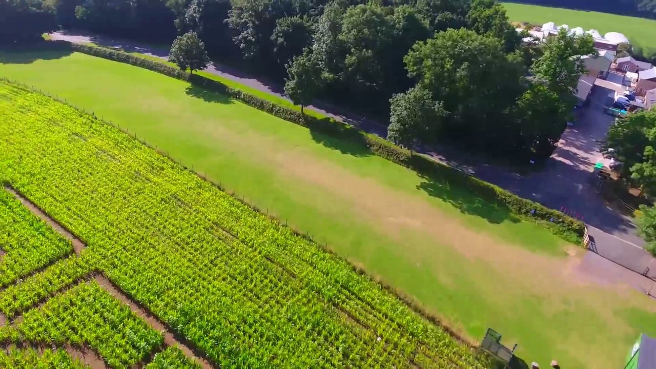 Wistow Maze - Birds eye view!