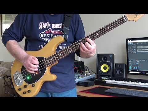 dead-or-alive---you-spin-me-round-(like-a-record)-|-bass-cover
