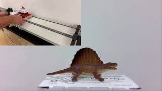 Motion - Relative Motion Cart Demo