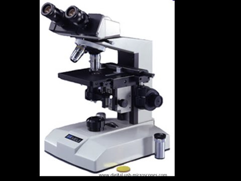 Micro Lesson 3: Cell Characteristics, Properties of Light, Microscopy and Specimen Staining