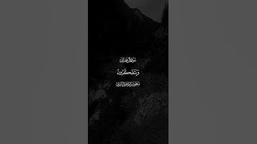 أجمل تلاوة للقارئ محمد اللحيدان #اكسبلور #قرآن #لايك #راحة_نفسية #تيك_توك #قران_كريم #حالات_واتس