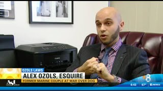Personal Injury and Car Accident Lawyer Alex Ozols on CBS 8 News San Diego