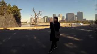 Tokyo to Australia Honeymoon Part 2 Guide