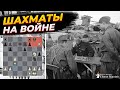 Как шахматы помогли выиграть войну