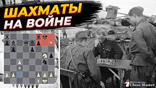 Как шахматы помогли выиграть войну