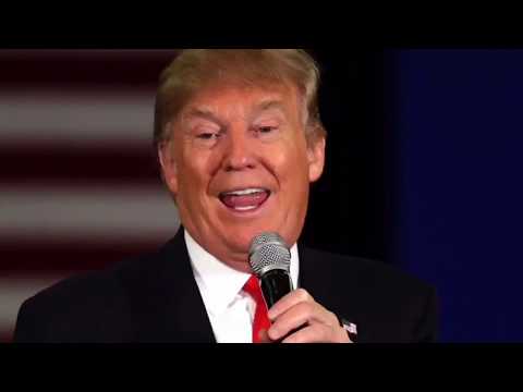Desperate Cheeto | Memes #1