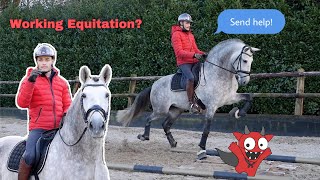 DRESSAGE STALLION TRIES WORKING EQUITATION