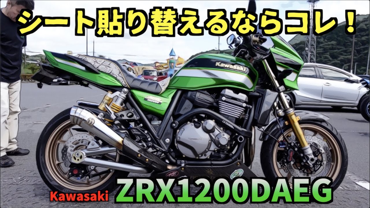 ZRX1200DAEG カスタムシート