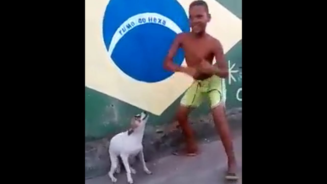 dog dancing to the git up
