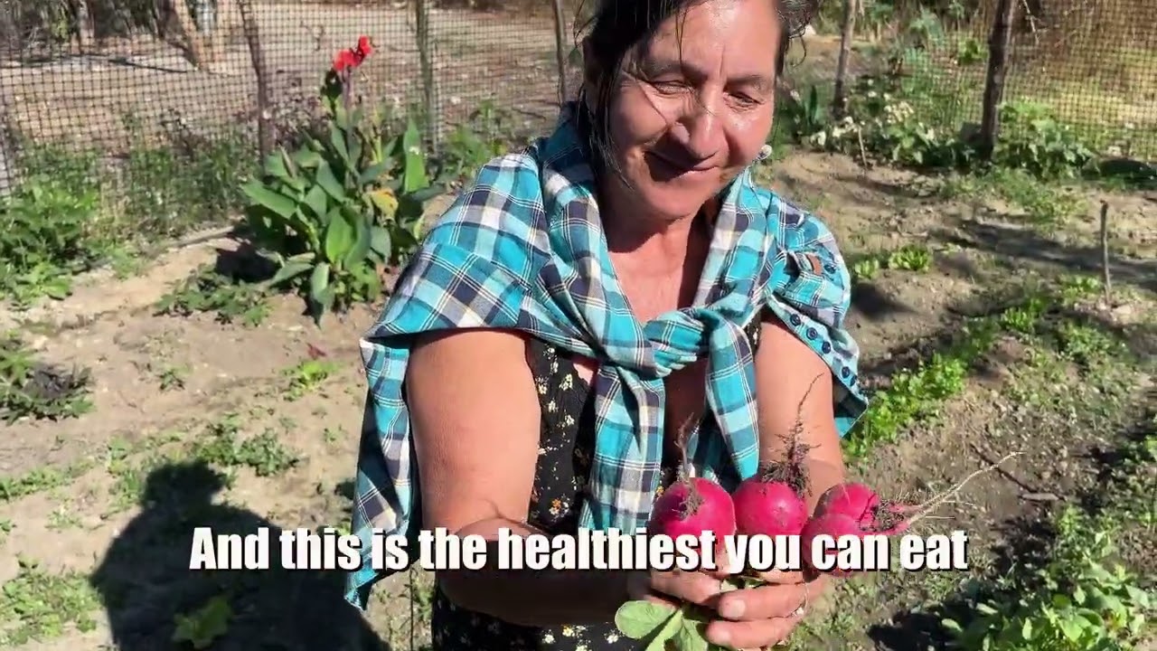 🌱 Flow Funding Impact in Ecuador | Kinship Earth