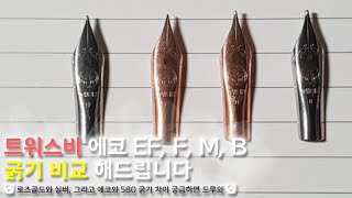 트위스비 에코 EF, F, M, B 굵기 비교 해드립니다 🙌로즈골드와 실버, 그리고 에코와 580 굵기 차이 궁금하면 드루와🙌 [리뷰/시필/비교]