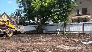 видео: СНОСИМ ДЕРЕВО, РАСТУЩЕЕ У ЗАБОРА ПРИ ПОМОЩИ ВЕРЕВКИ И ТРАКТОРА картинка: СНОСИМ ДЕРЕВО, РАСТУЩЕЕ У ЗАБОРА ПРИ ПОМОЩИ ВЕРЕВКИ И ТРАКТОРА