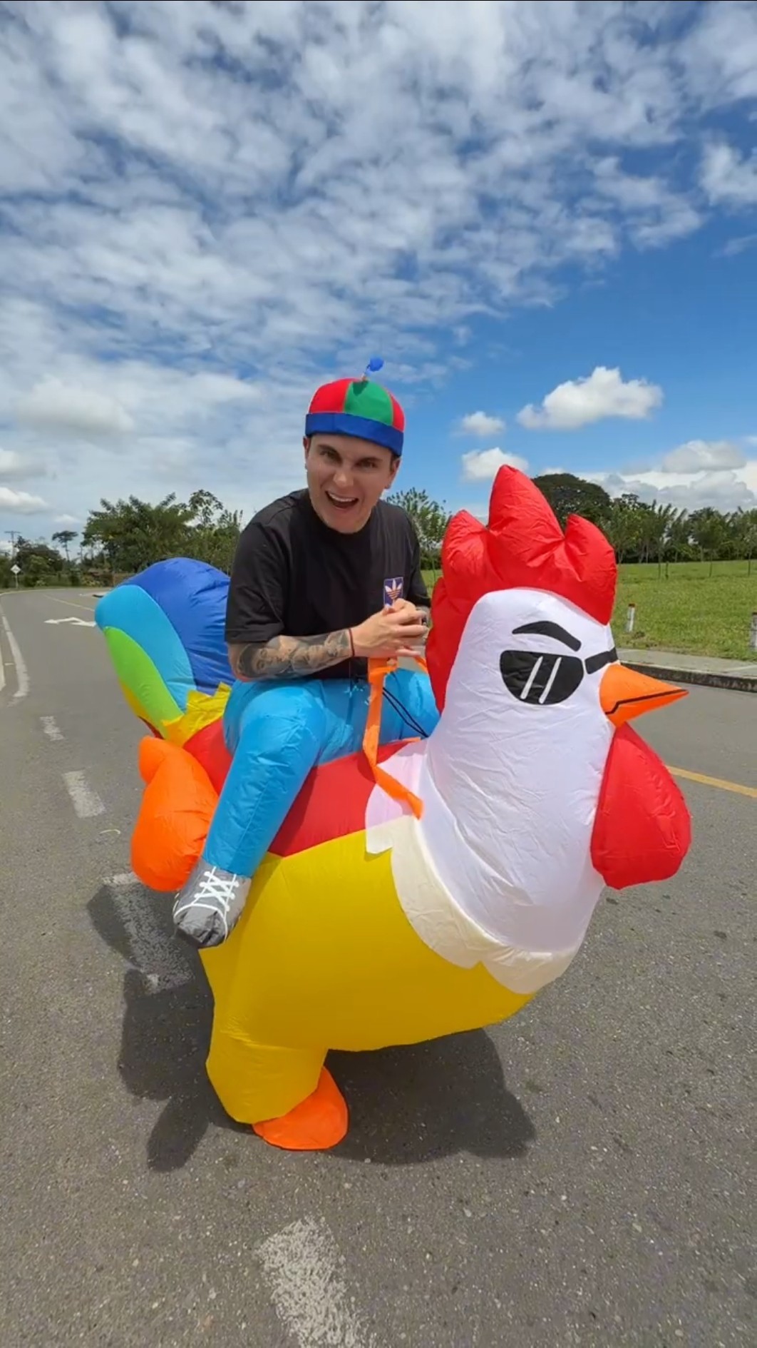 El gallo de mini Federico ?